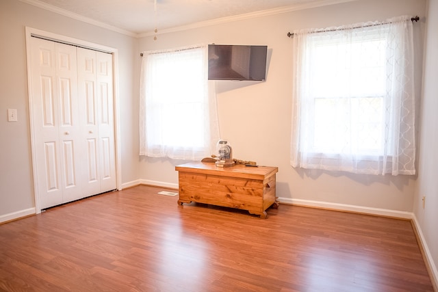 bedroom featuring wood-type flooring and multiple windows