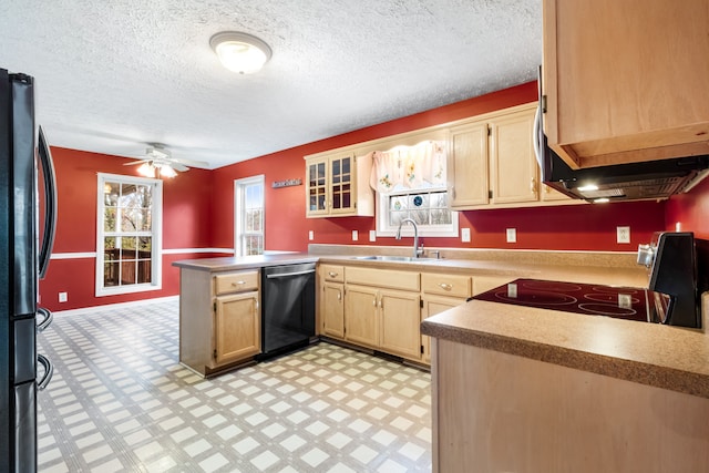 kitchen with sink, kitchen peninsula, stainless steel dishwasher, range, and black refrigerator