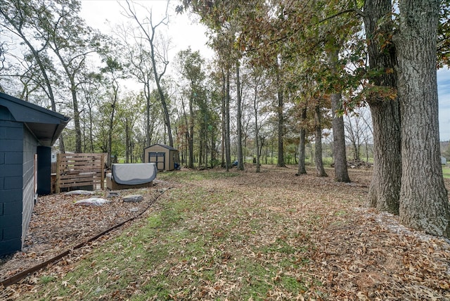 view of yard with a storage shed