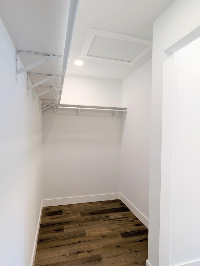 walk in closet featuring dark hardwood / wood-style floors