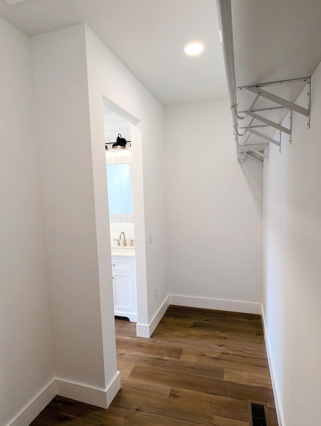 walk in closet featuring sink and dark hardwood / wood-style floors