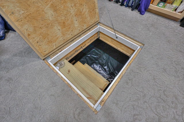 interior details featuring carpet floors