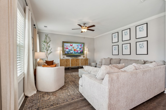 living room with dark hardwood / wood-style flooring, ceiling fan, a wealth of natural light, and ornamental molding