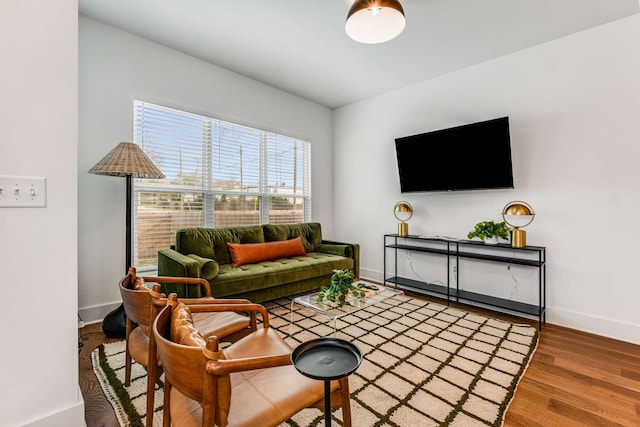 living room with hardwood / wood-style floors