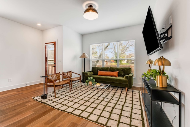 living area with wood-type flooring