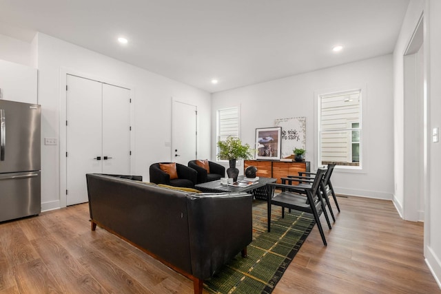 living room featuring light hardwood / wood-style flooring