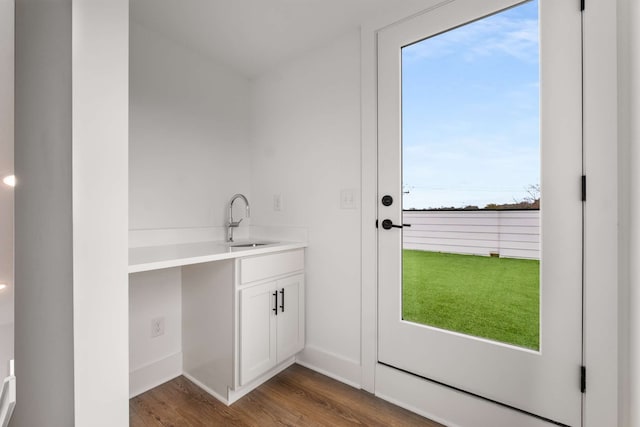 entryway featuring dark hardwood / wood-style floors, a wealth of natural light, and sink