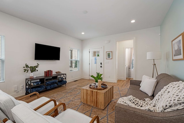 living room with wood-type flooring