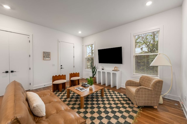 living room with hardwood / wood-style floors