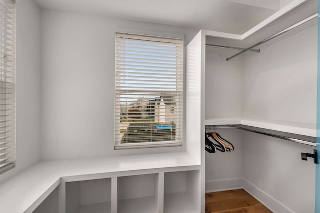 spacious closet featuring wood-type flooring