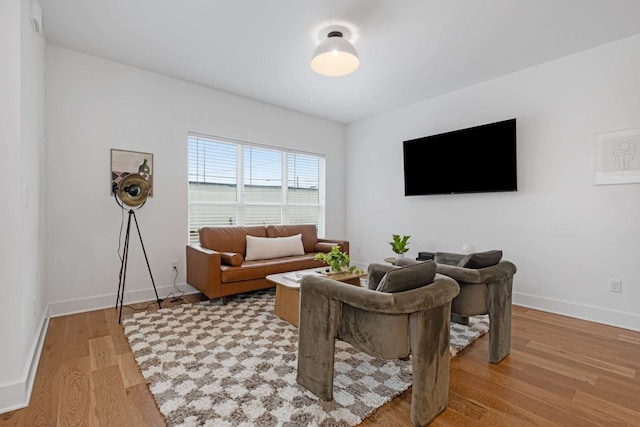 living room featuring light hardwood / wood-style flooring