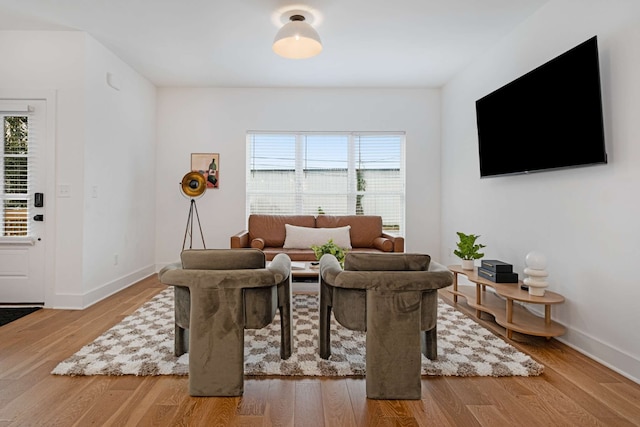 living room featuring wood-type flooring