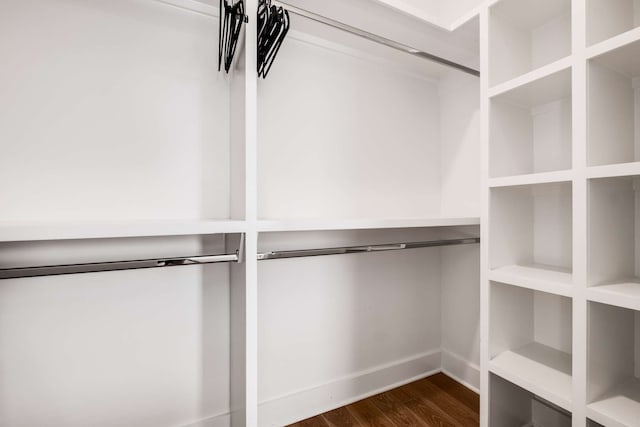 spacious closet with dark hardwood / wood-style floors