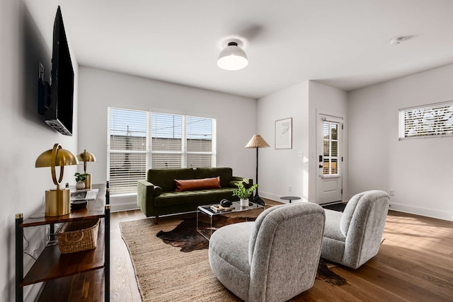 living room featuring hardwood / wood-style floors and a healthy amount of sunlight