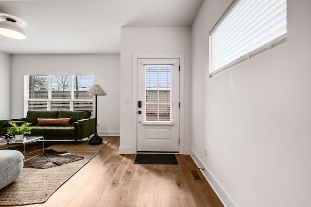 entryway featuring light wood-type flooring and a wealth of natural light