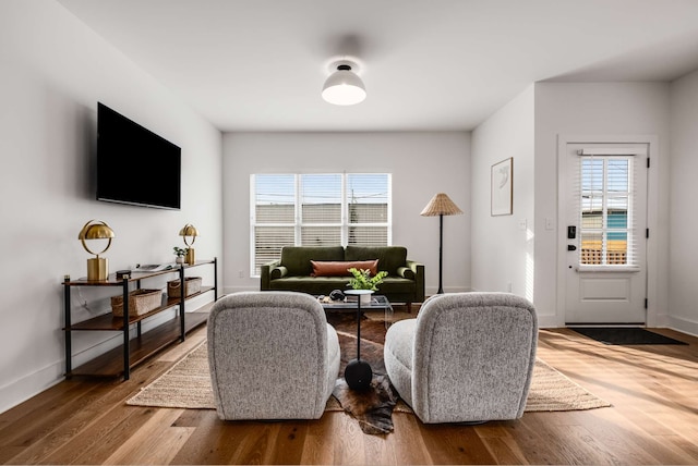 living room with wood-type flooring