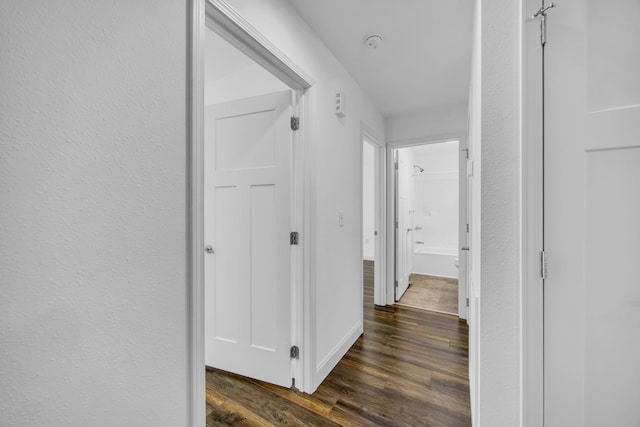 hallway with dark hardwood / wood-style flooring