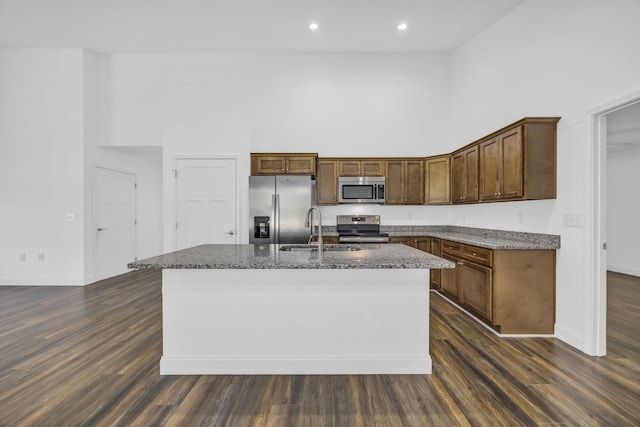 kitchen featuring a towering ceiling, sink, dark hardwood / wood-style floors, and stainless steel appliances