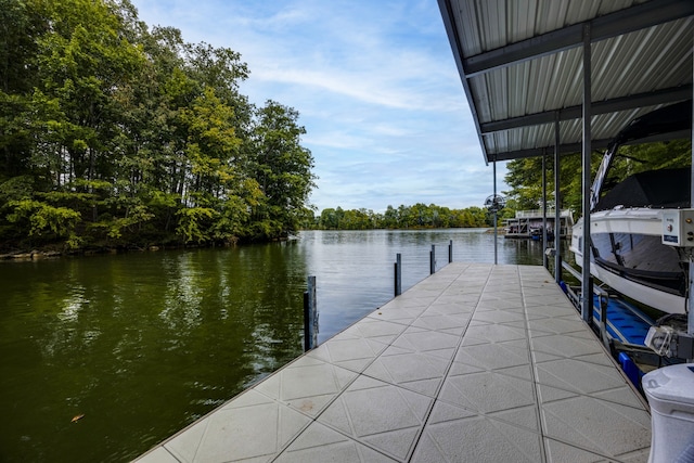 dock area with a water view