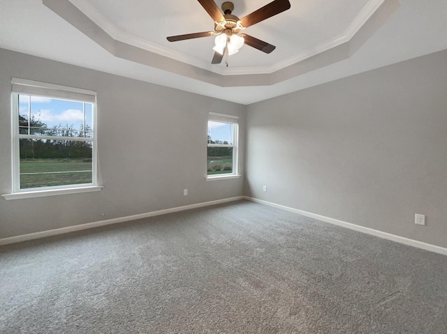 spare room featuring ceiling fan, carpet flooring, ornamental molding, and a raised ceiling