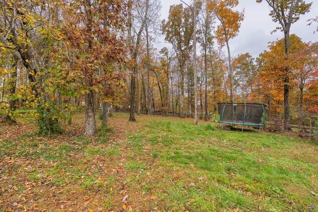 view of yard featuring a trampoline