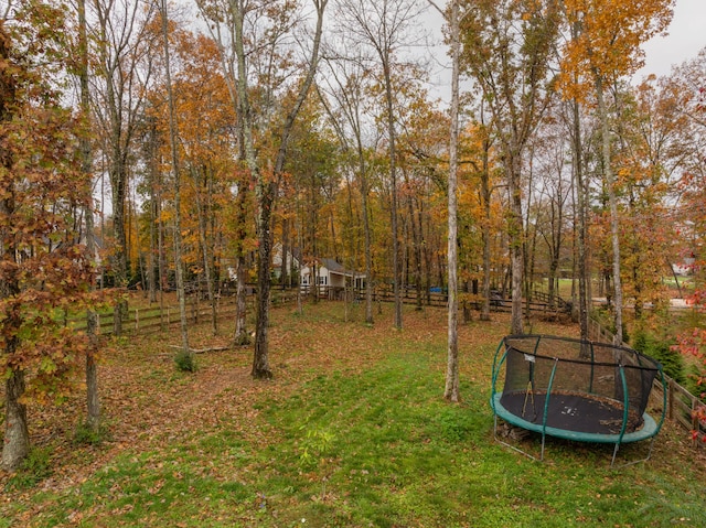 view of yard featuring a trampoline