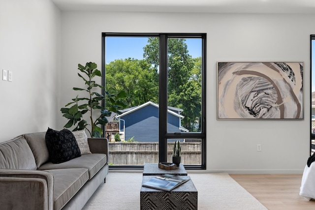 living room featuring light hardwood / wood-style floors