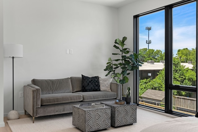 living room featuring a wealth of natural light