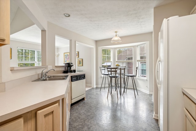 kitchen with light brown cabinets, white appliances, sink, and a wealth of natural light