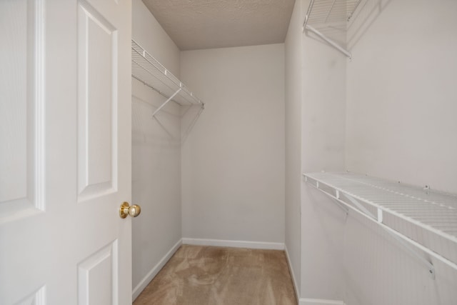 walk in closet featuring light carpet