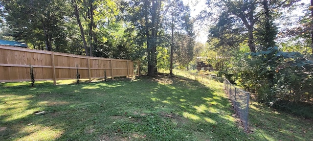 141 General Buckner Dr, Dover, TN 37058 - photo 2