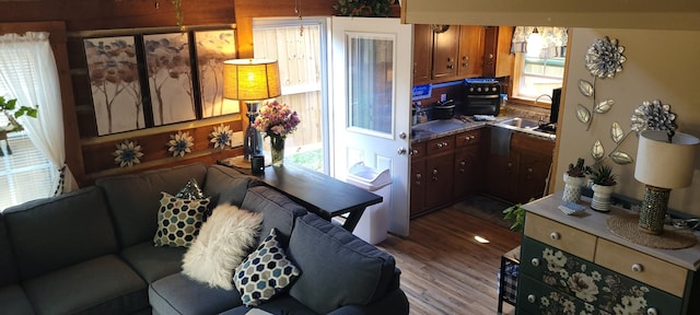 kitchen with hardwood / wood-style flooring, plenty of natural light, sink, and pendant lighting