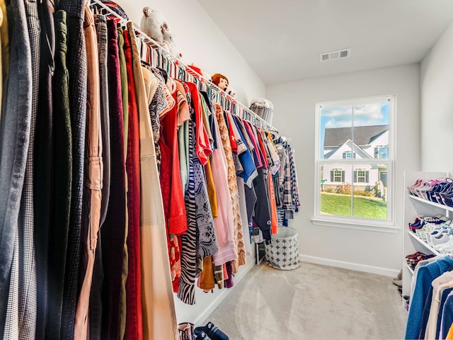 walk in closet featuring carpet floors