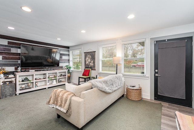 living room featuring wood-type flooring