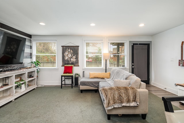 living area with dark hardwood / wood-style flooring