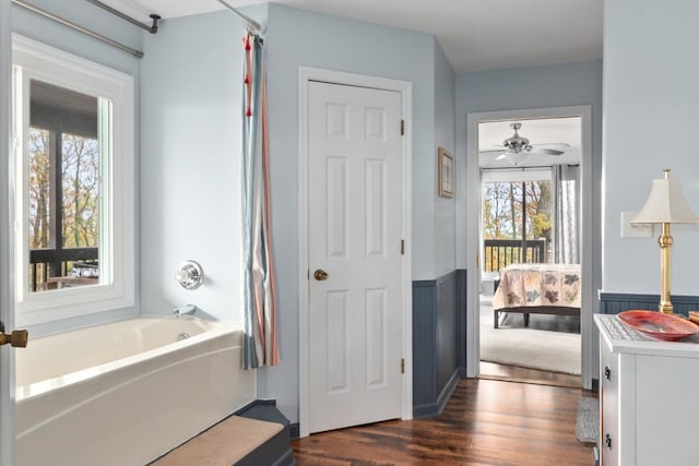 bathroom with wood-type flooring, ceiling fan, and vanity