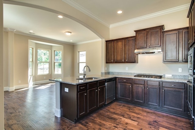 kitchen featuring dark brown cabinetry, sink, light stone counters, appliances with stainless steel finishes, and dark hardwood / wood-style floors