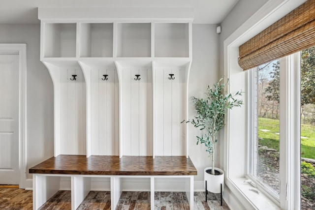 mudroom with wood-type flooring