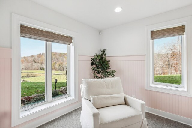 living area with carpet and a healthy amount of sunlight