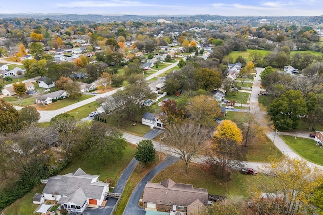 bird's eye view