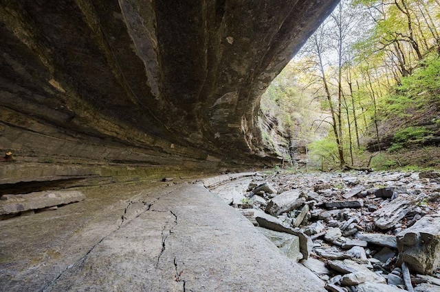 1050 Pine Creek Falls Rd, Smithville, TN 37166 - exterior view of a heavily wooded area
