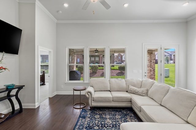 living room featuring ceiling fan, dark hardwood / wood-style floors, and crown molding