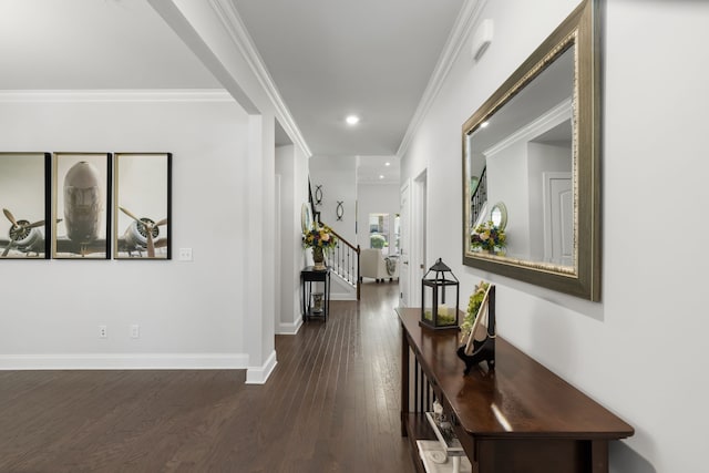 hallway featuring dark wood-type flooring and ornamental molding