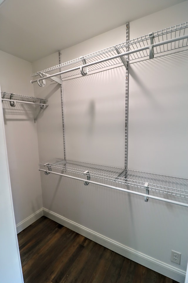 spacious closet featuring dark wood-type flooring