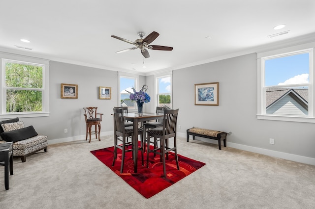 carpeted dining space with ornamental molding, plenty of natural light, and ceiling fan