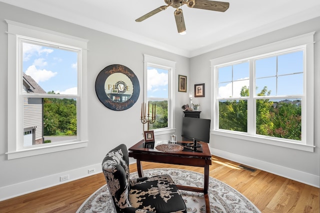 office with hardwood / wood-style floors, a wealth of natural light, ceiling fan, and crown molding