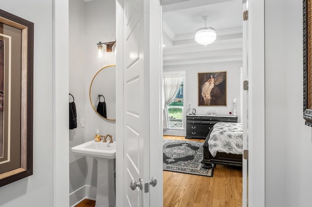 bathroom featuring wood-type flooring, sink, and a tray ceiling