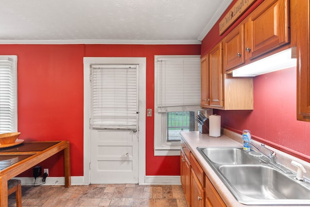 kitchen with a textured ceiling, crown molding, and sink