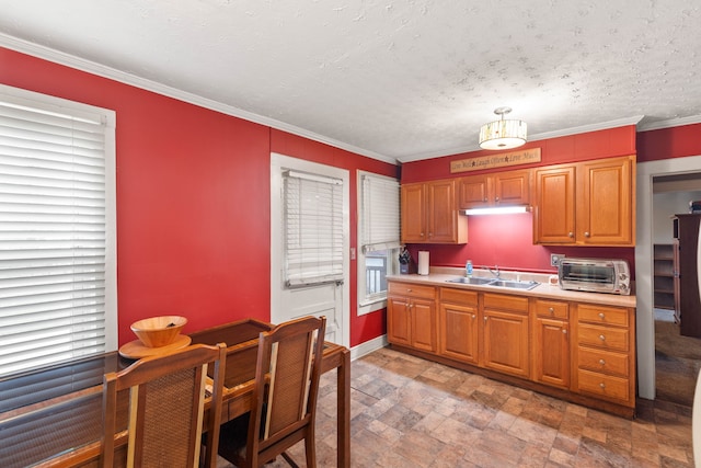 kitchen with a textured ceiling, plenty of natural light, ornamental molding, and sink