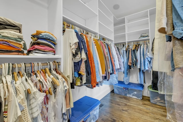 walk in closet with wood-type flooring